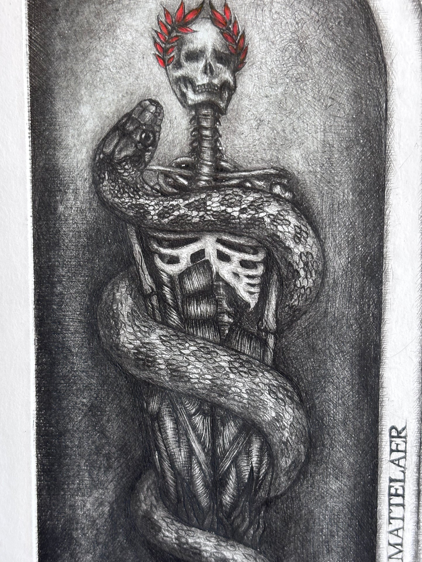 Limited Edition Ex Libris Art Print ''The Memento Mori'' - The Paragon Arts